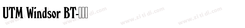 UTM Windsor BT字体转换